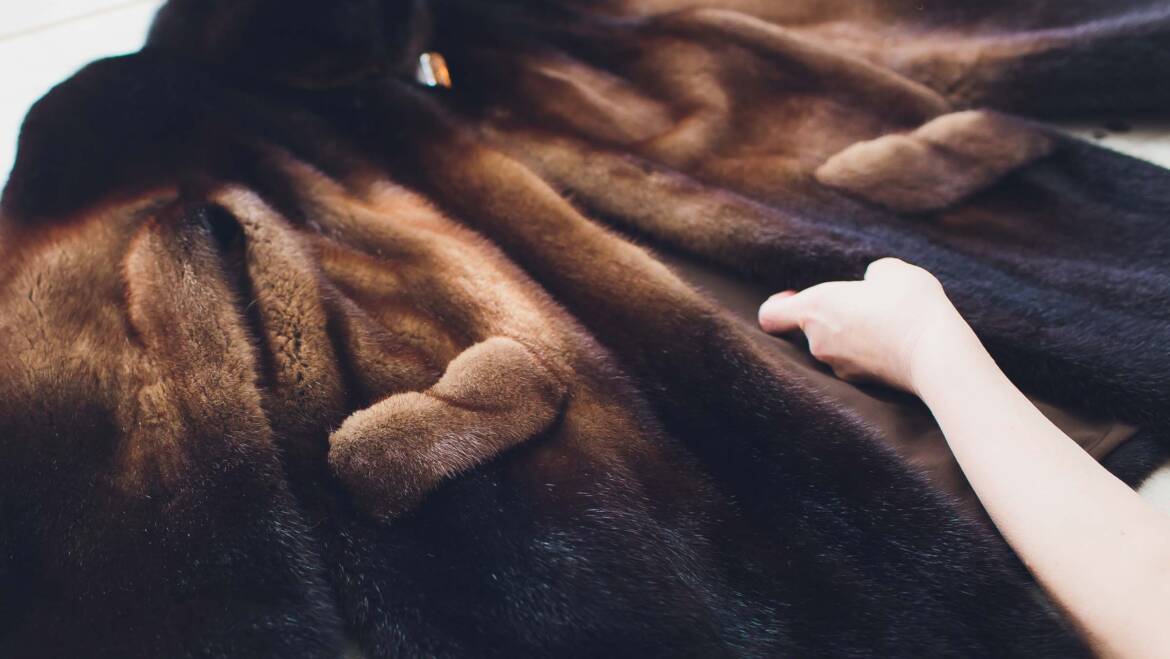 Fur Cleaning